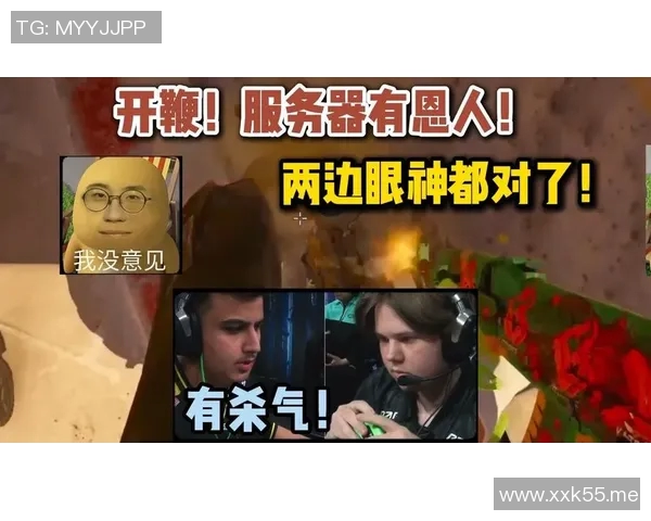 ZEM精英挑战赛引发争议众玩家对zweih表达强烈不满情绪