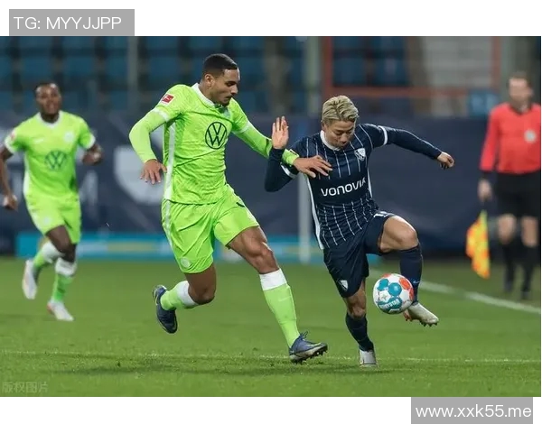 网坛与德甲：竞技格局差异显著